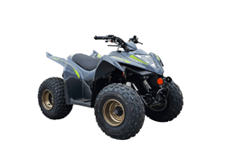 KYMCO MONGOOSE 90S