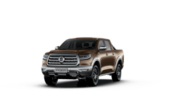 GREAT WALL POER DELUXE