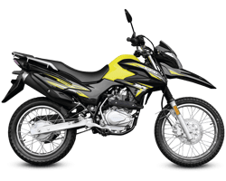SUZUKI DR150