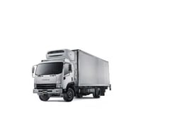 ISUZU CANELLA FRR