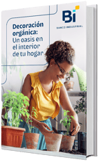 Decoración orgánica, un oasis en el interior de tu hogar