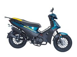 FREEDOM TRIP 125 R