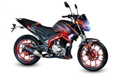 VENTO FALKON
