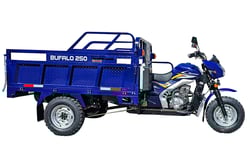 FREEDOM BUFALO 250